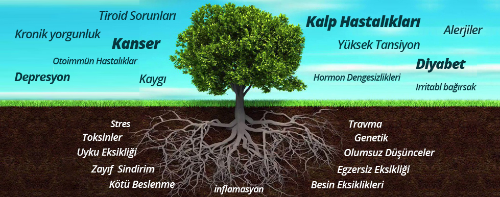 FONKSİYONEL TIP HEKİMİ KİMDİR? 