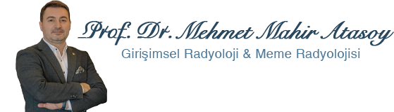 Prof. Dr. Mehmet Mahir Atasoy